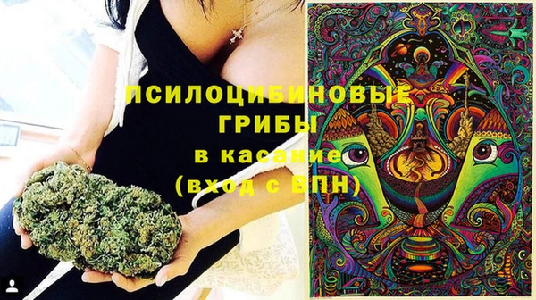 трава Верхнеуральск