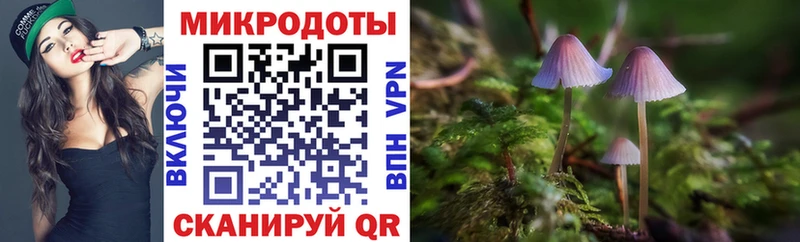где можно купить наркотик  Юрюзань  Псилоцибиновые грибы MAGIC MUSHROOMS 